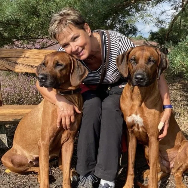 Zwei Ridgebacks mit Frauchen in der Heide