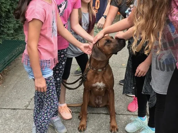Schulhund mit Kindern auf dem Schulhof