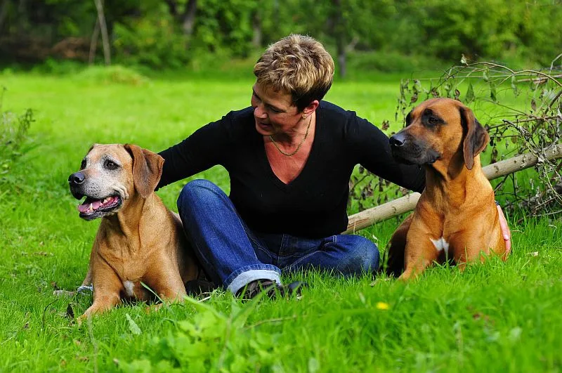 Marion Riedel mit ihren Ridgebacks auf der Wiese